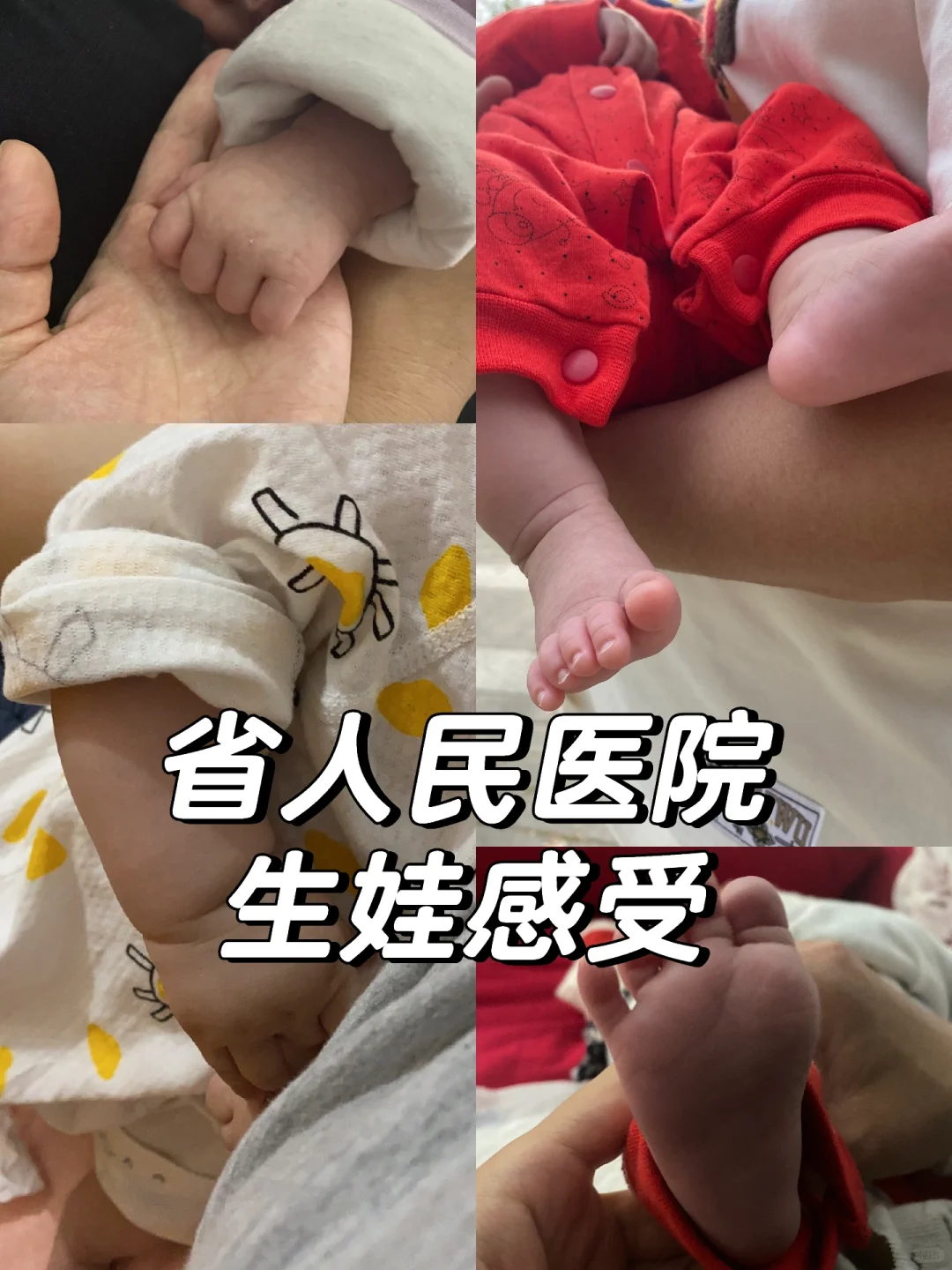 娃五月，主观吐槽省人民生娃的痛（个人感受）,供精供卵助孕公司电话